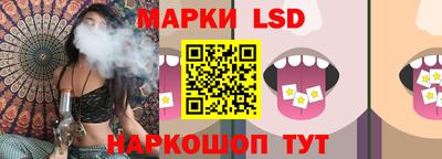 гидра Рязань
