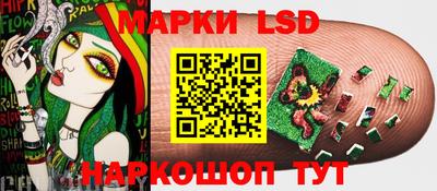 гидра Рязань